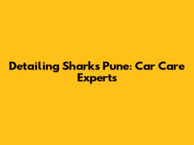 Detailing Sharks Pune: Car Care Experts